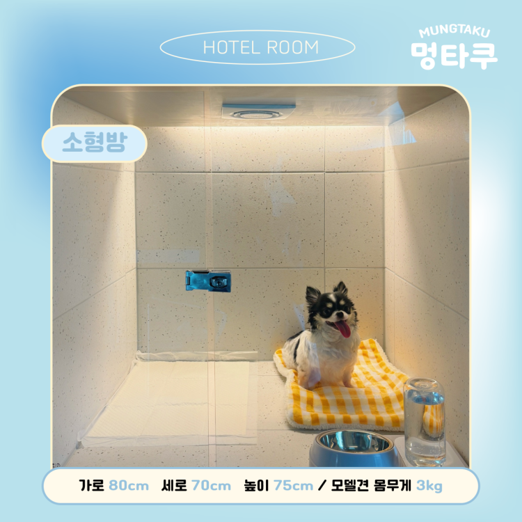 a687a904ba959d36c6f738449997b654_1755676365_0449.png