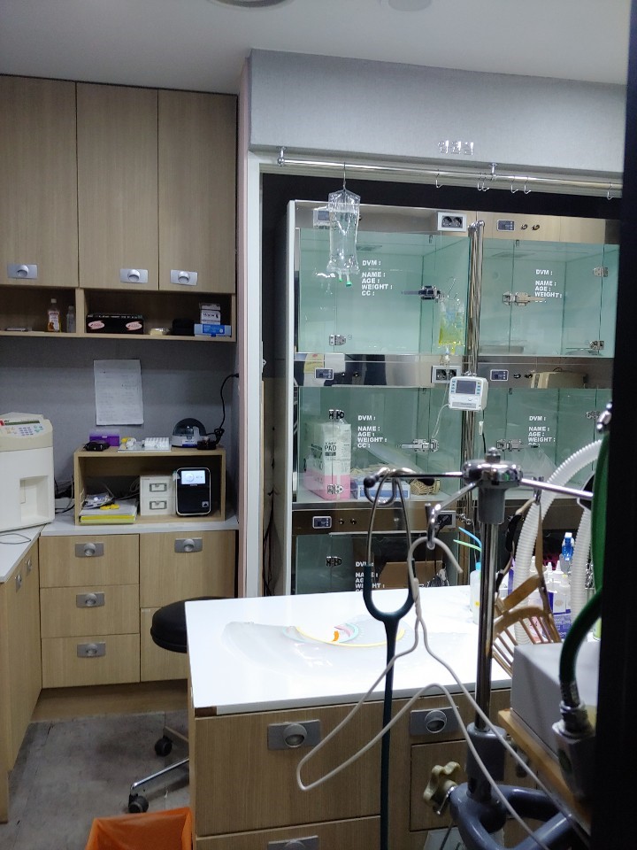 d2a5cc0167aead0bdf2170ade5cb31c9_1764498377_0848.jpg d2a5cc0167aead0bdf2170ade5cb31c9_1764498377_0848.jpg