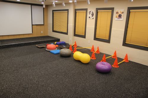 d2a5cc0167aead0bdf2170ade5cb31c9_1764513220_9406.jpg d2a5cc0167aead0bdf2170ade5cb31c9_1764513220_9406.jpg