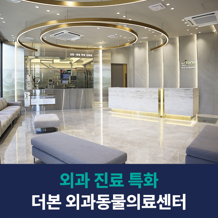 d17cbf3a8735ef0383be5fa4a78ac7a7_1766470218_9706.png d17cbf3a8735ef0383be5fa4a78ac7a7_1766470218_9706.png