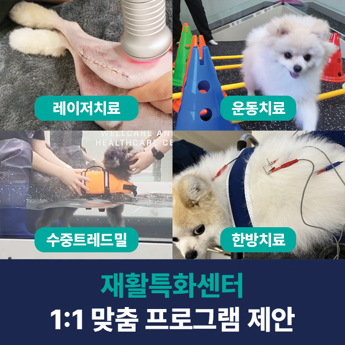 d17cbf3a8735ef0383be5fa4a78ac7a7_1766470236_4472.png d17cbf3a8735ef0383be5fa4a78ac7a7_1766470236_4472.png